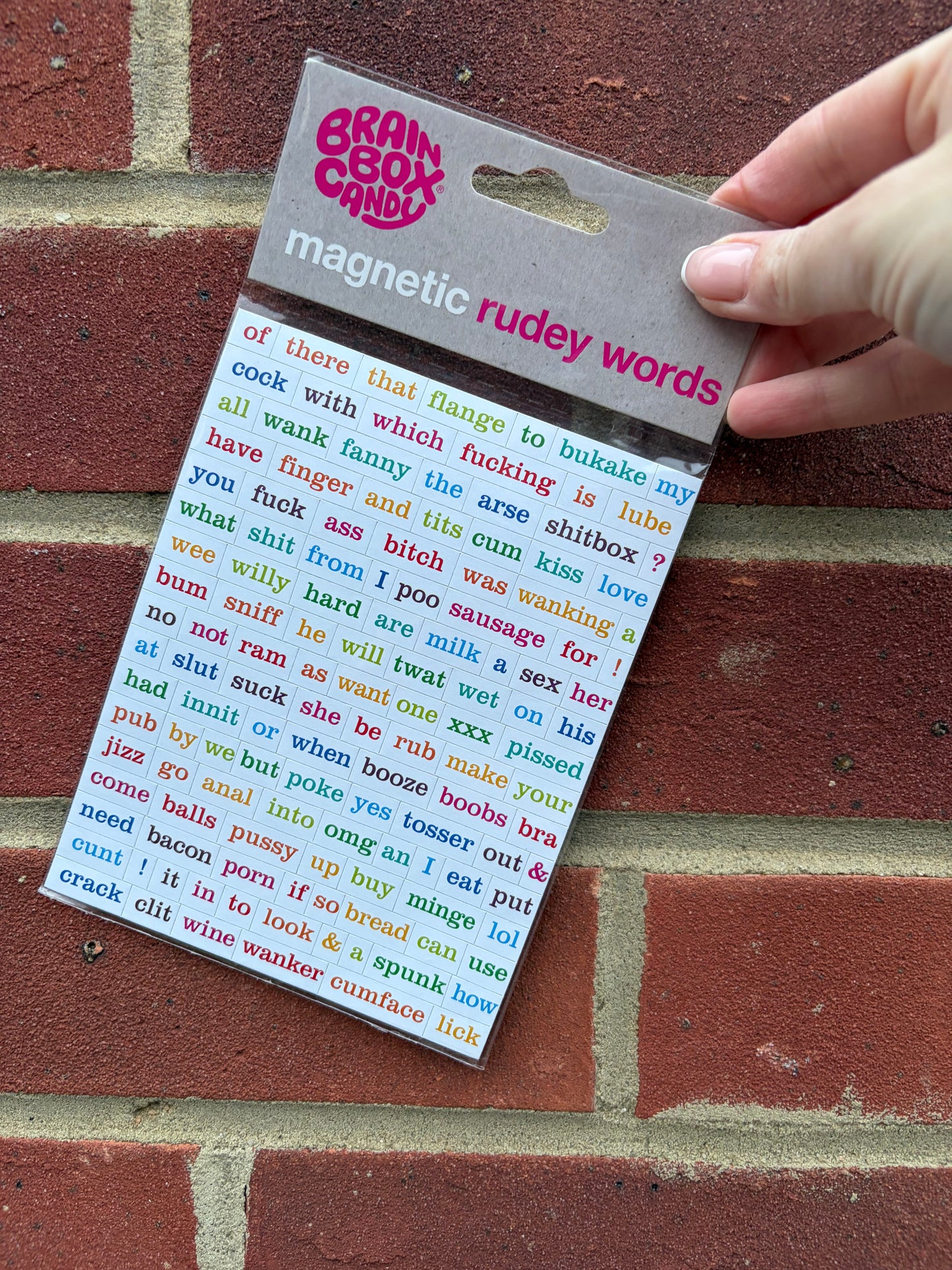 Sweary Magnets